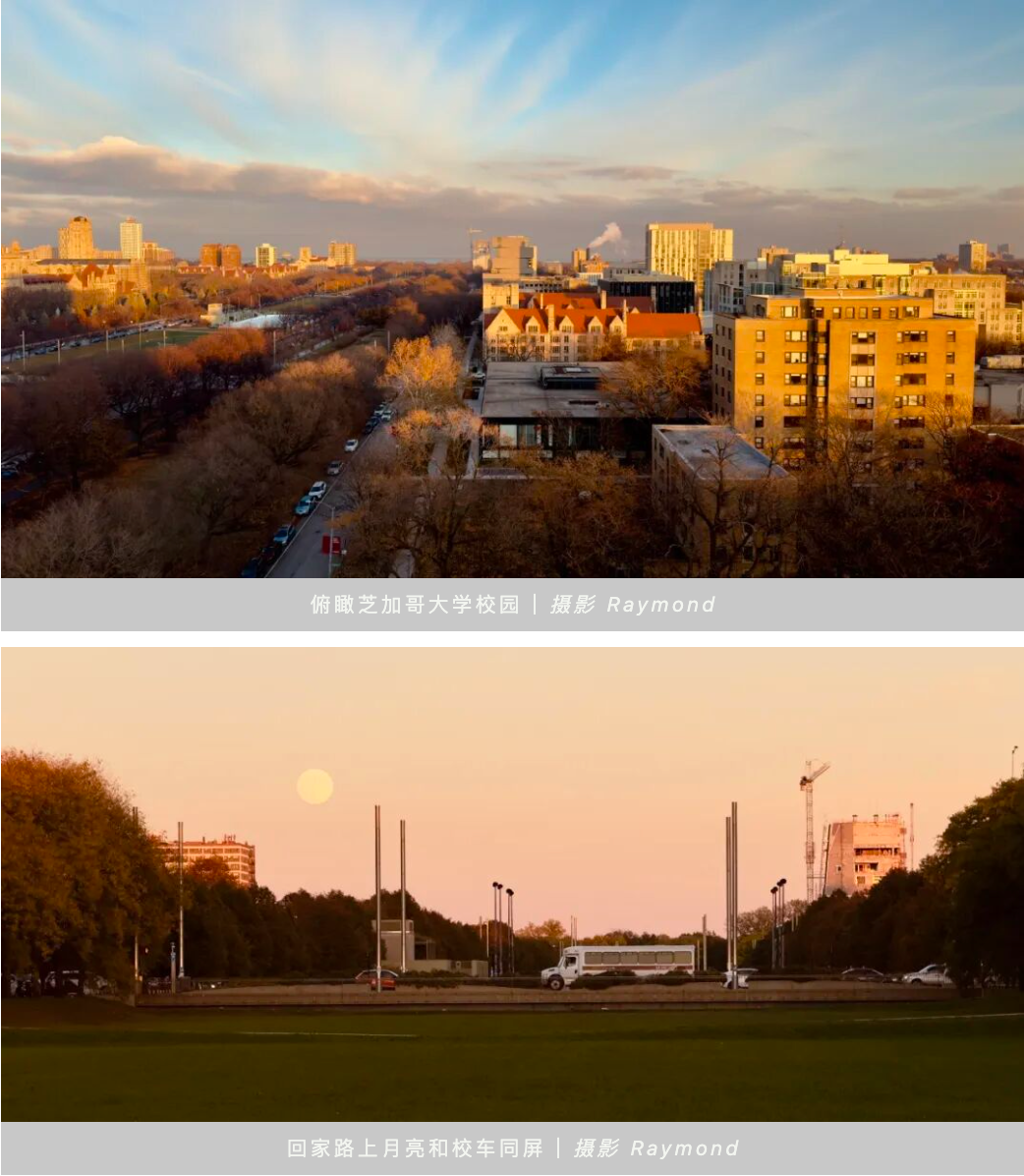 俯瞰芝加哥大学校园