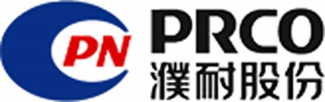 Punan Shares Puneng Shares