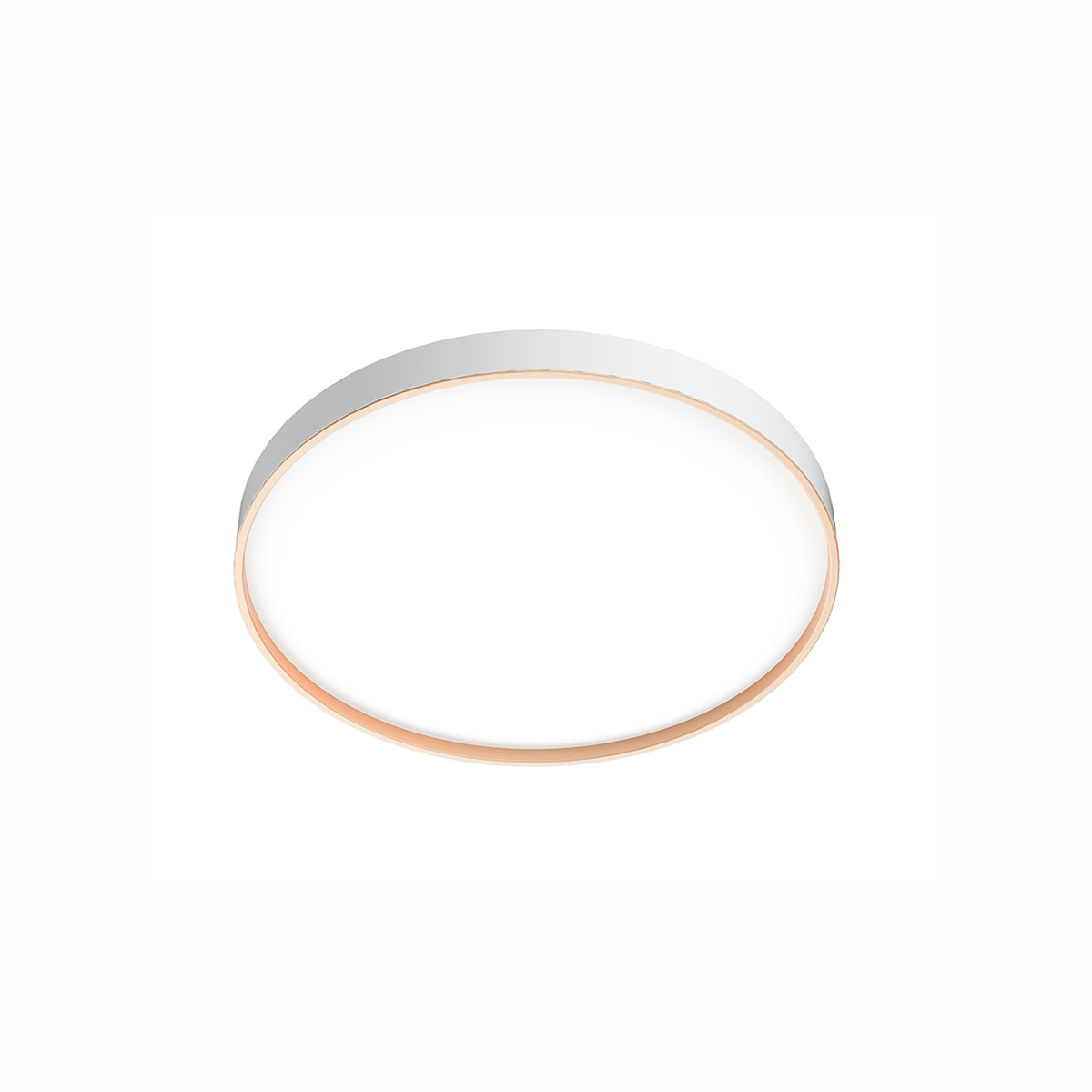 LED Ceiling Light D380mm 24W CCT Change