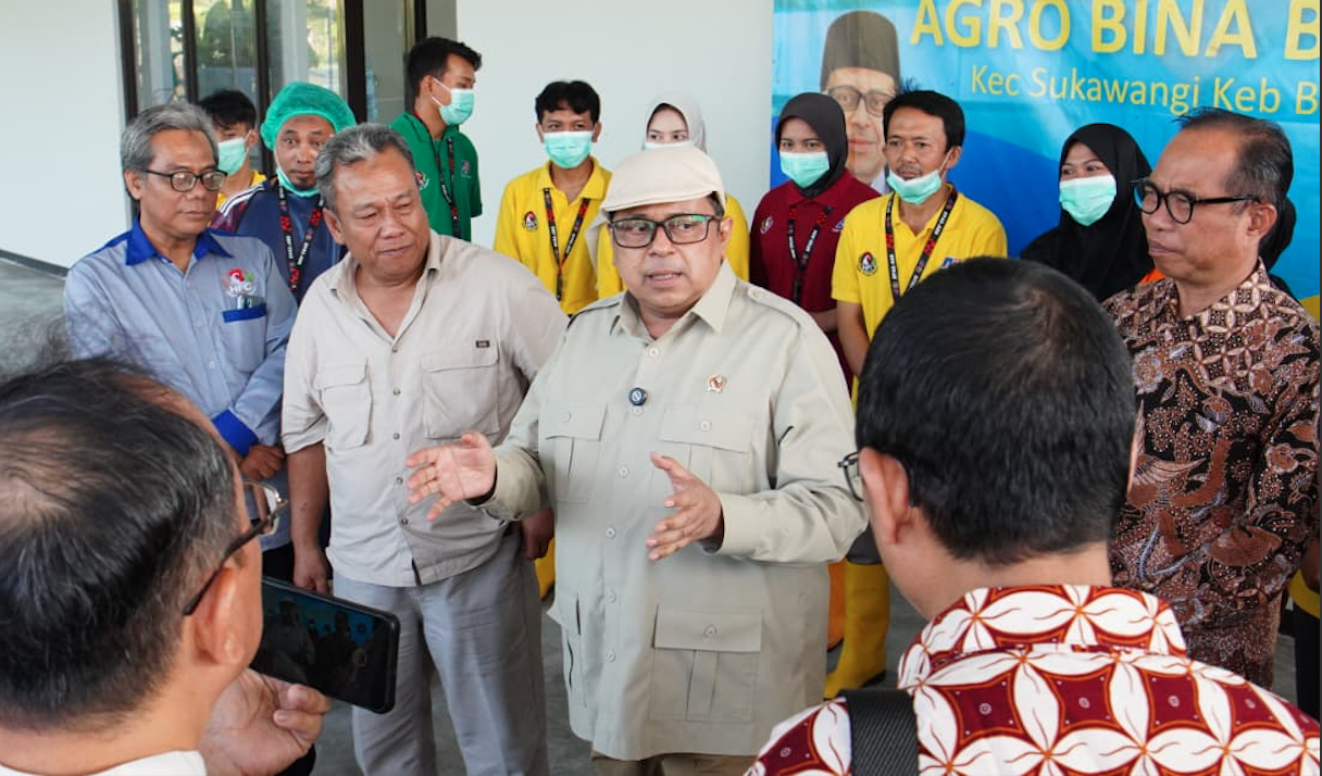 Capture Indonesia's Trillion-Dollar Blue Ocean: Halal Certification Is Now Essential for Exporters from South and North China