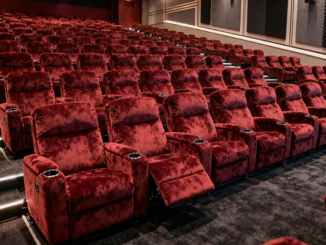 Stadium Seating Chair