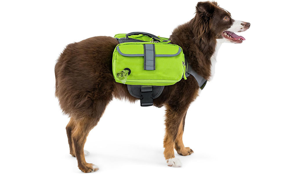 Pet Backpack Harness