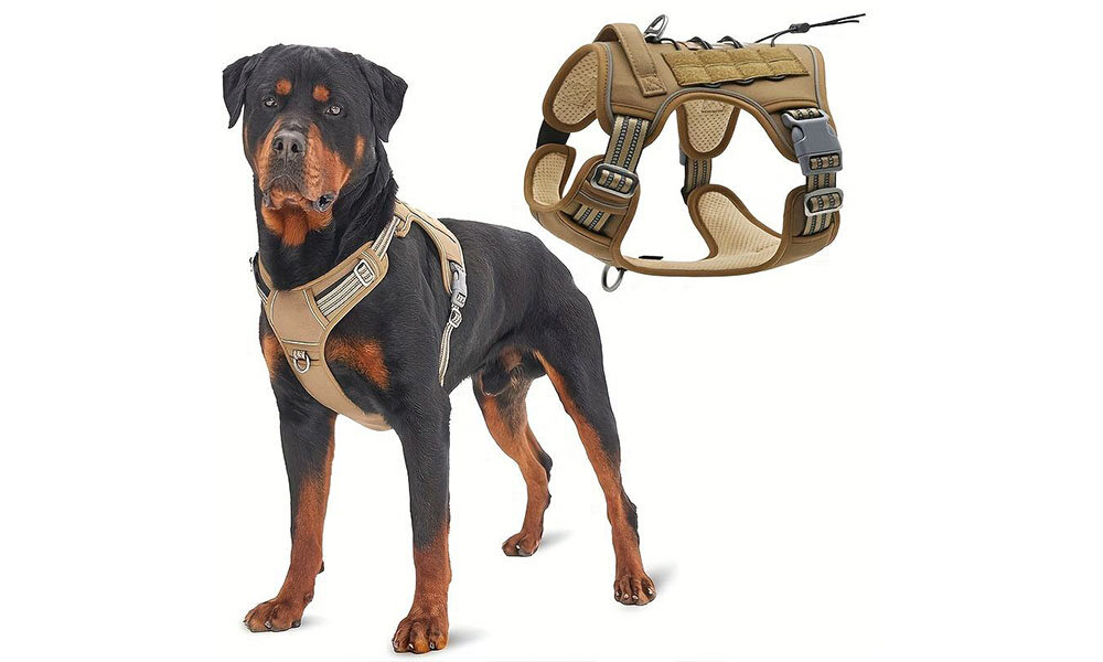 Custom Patch Reflective Dog Harness