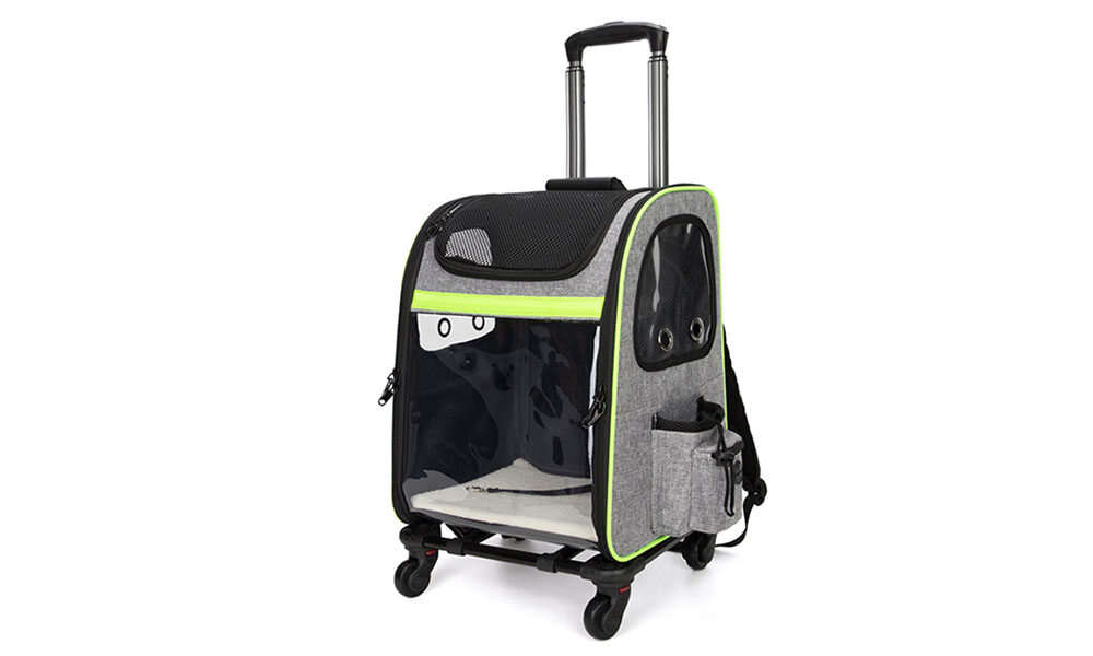 2-in-1 Convertible Pet Travel Bag