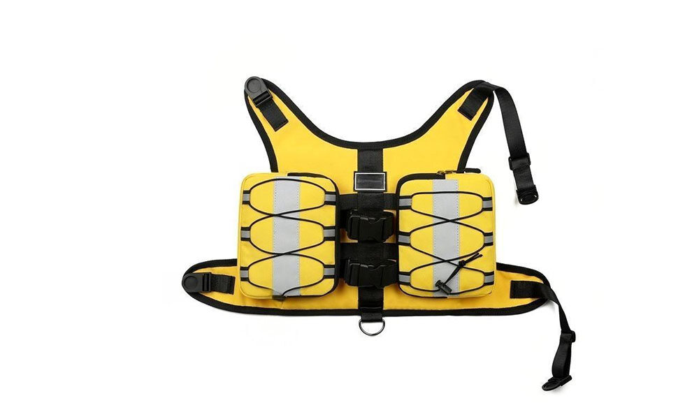Pet Travel Gear