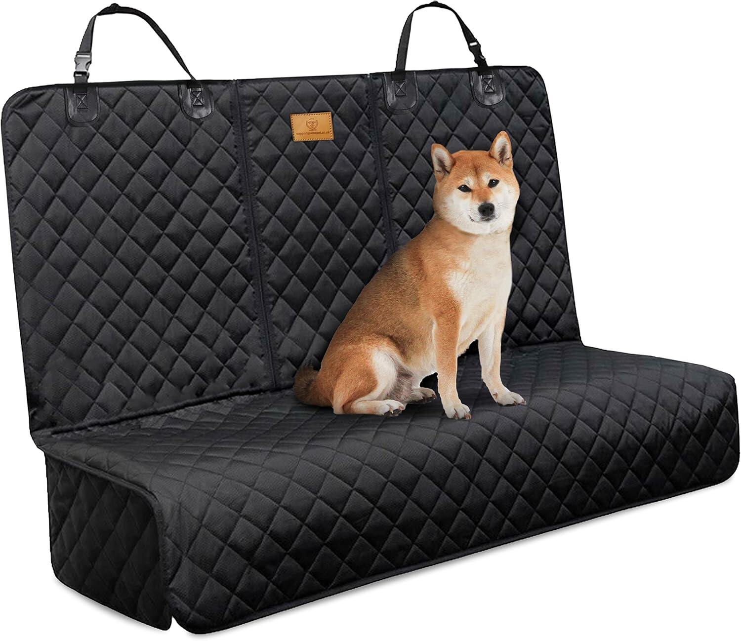 OEM Pet Product Manufacturing: A Complete Guide for Brands