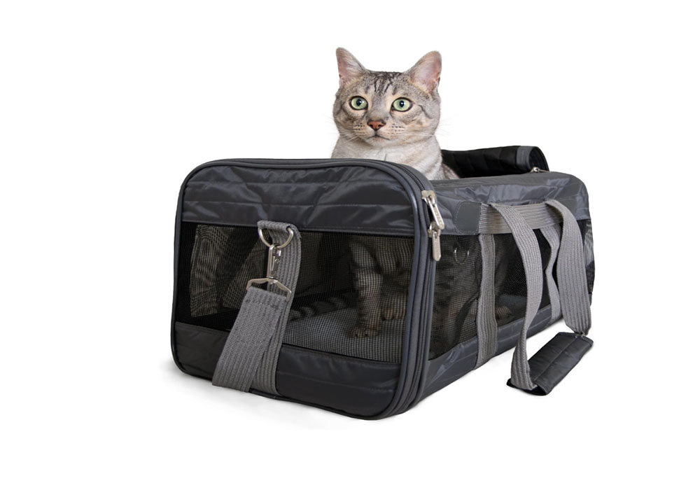 Travel Pet Carrier