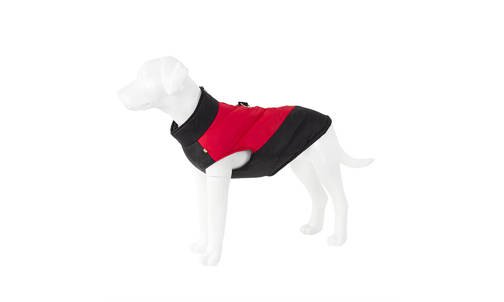 Waterproof Padded Dog Coat for Autumn Winter