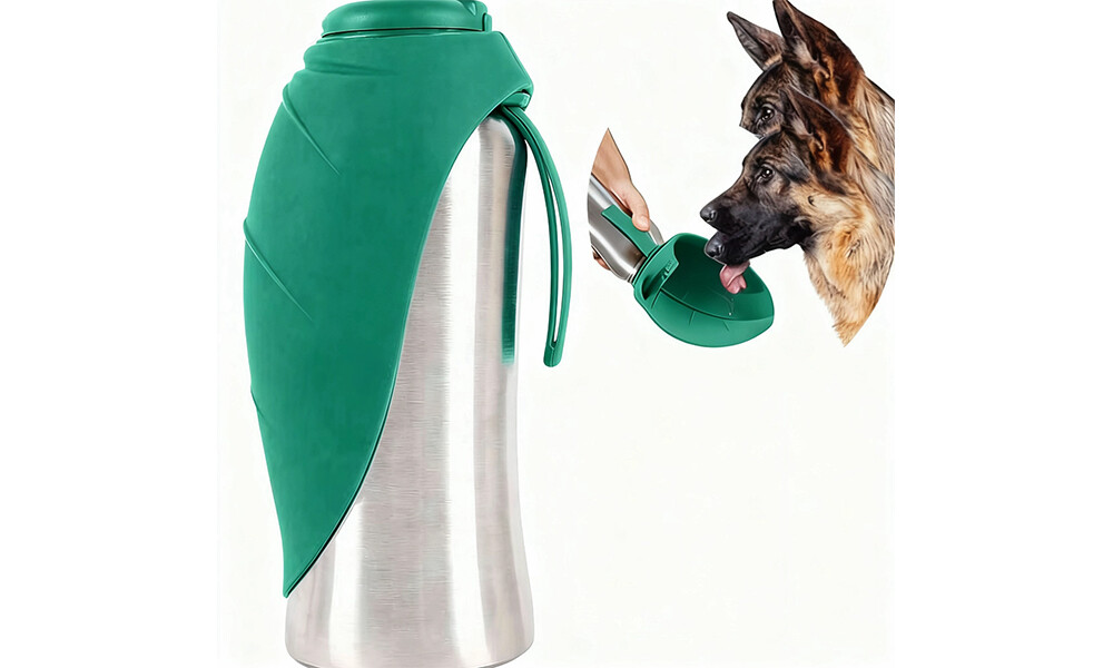 Large Capacity Stainless Steel Pet Water Bottle