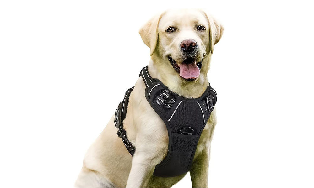 Reflective Dog Harness with Front Clip & Top Handle