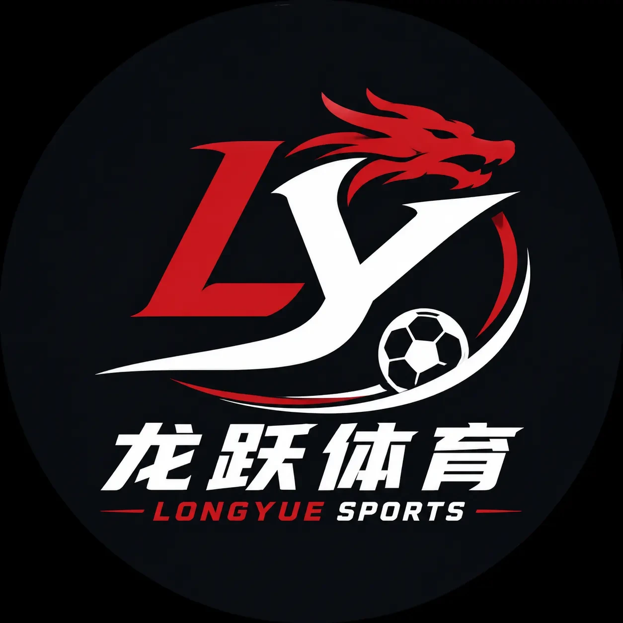 LONGYUE SPORTS logo