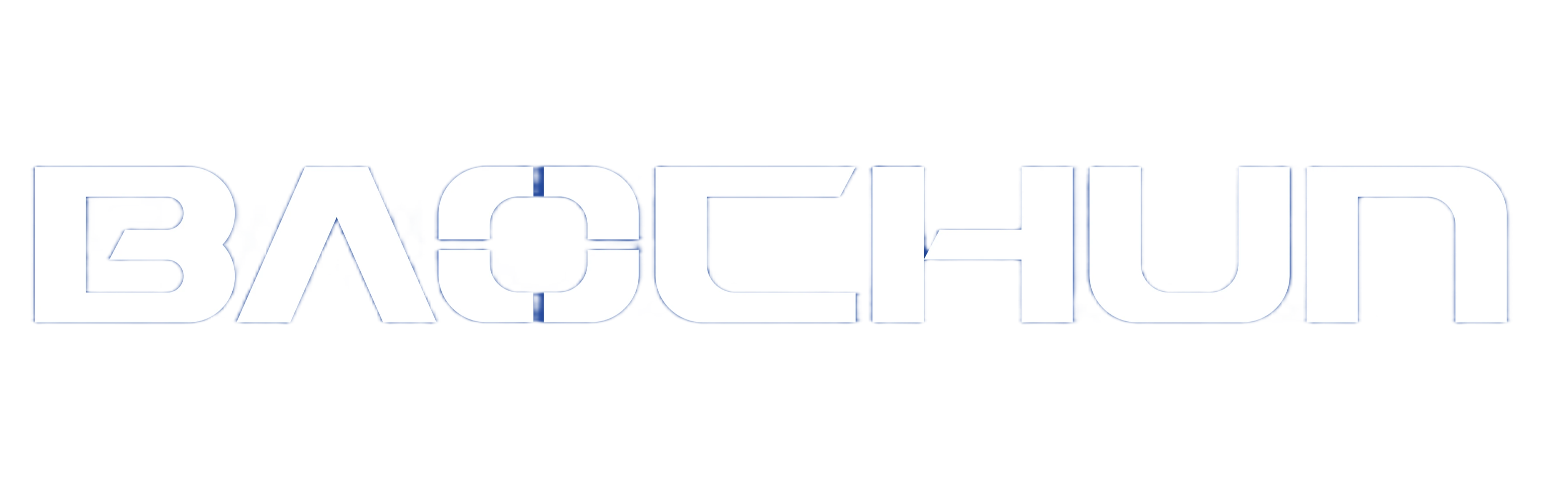 Baochun Rubber Logo