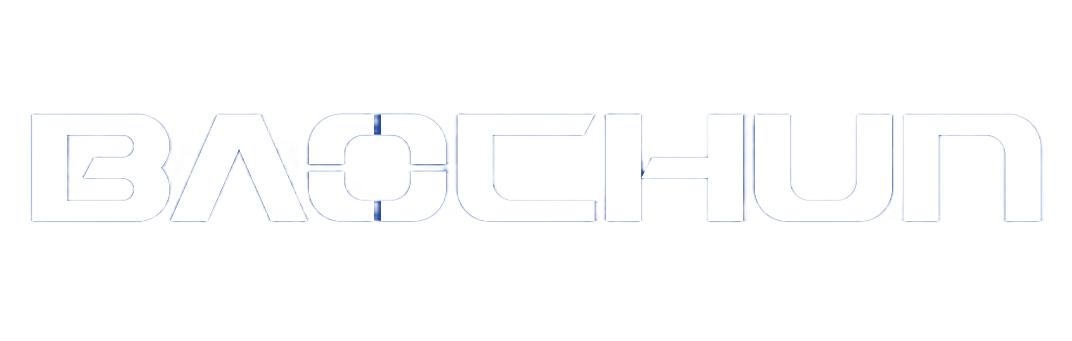 BAOCHUN Logo