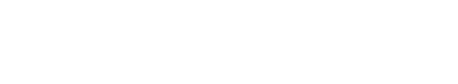 嘉中美