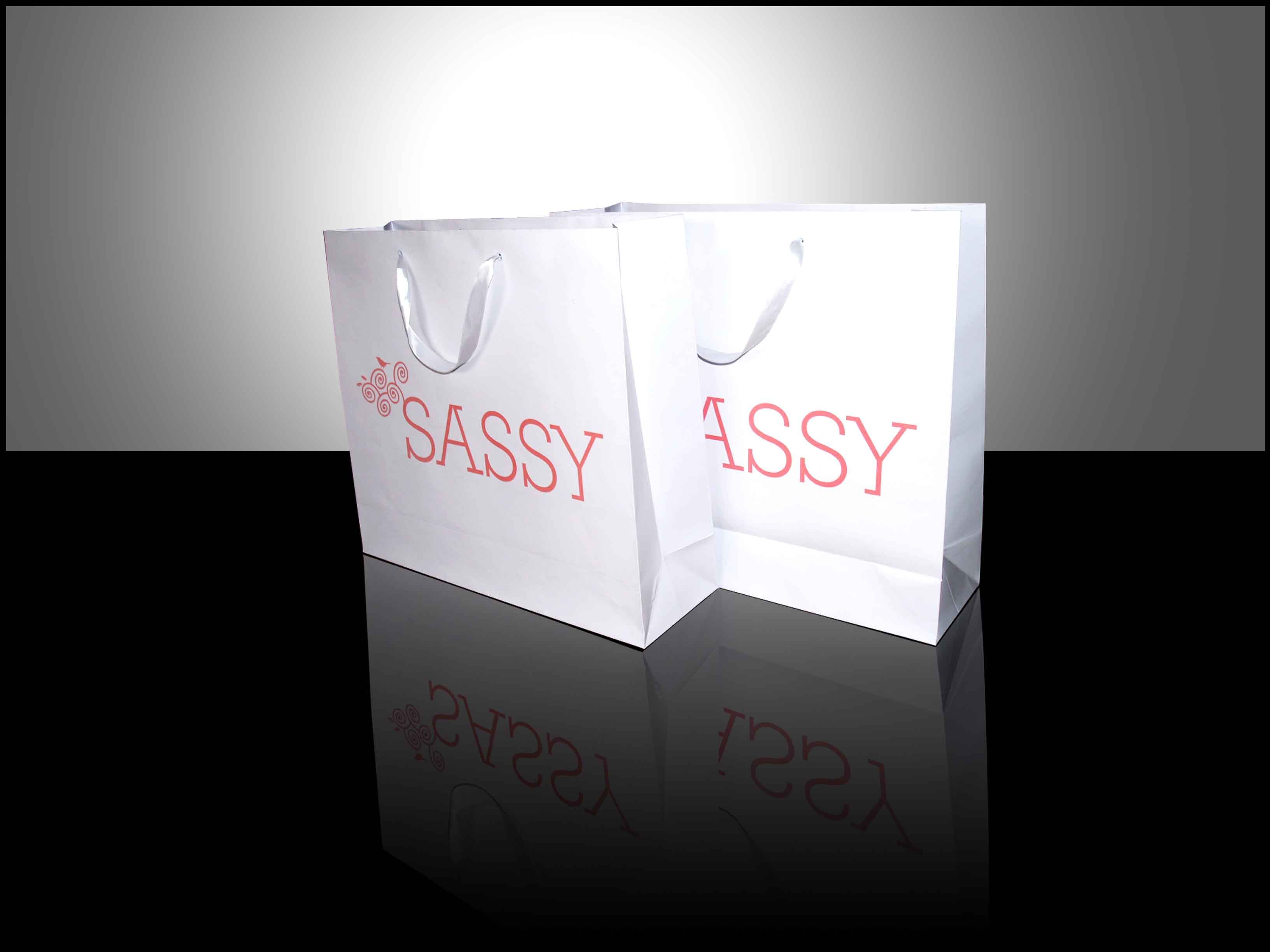 Custom Printed Paper Bags | Bespoke Branded Shopping Bags for Retail & Events view 2