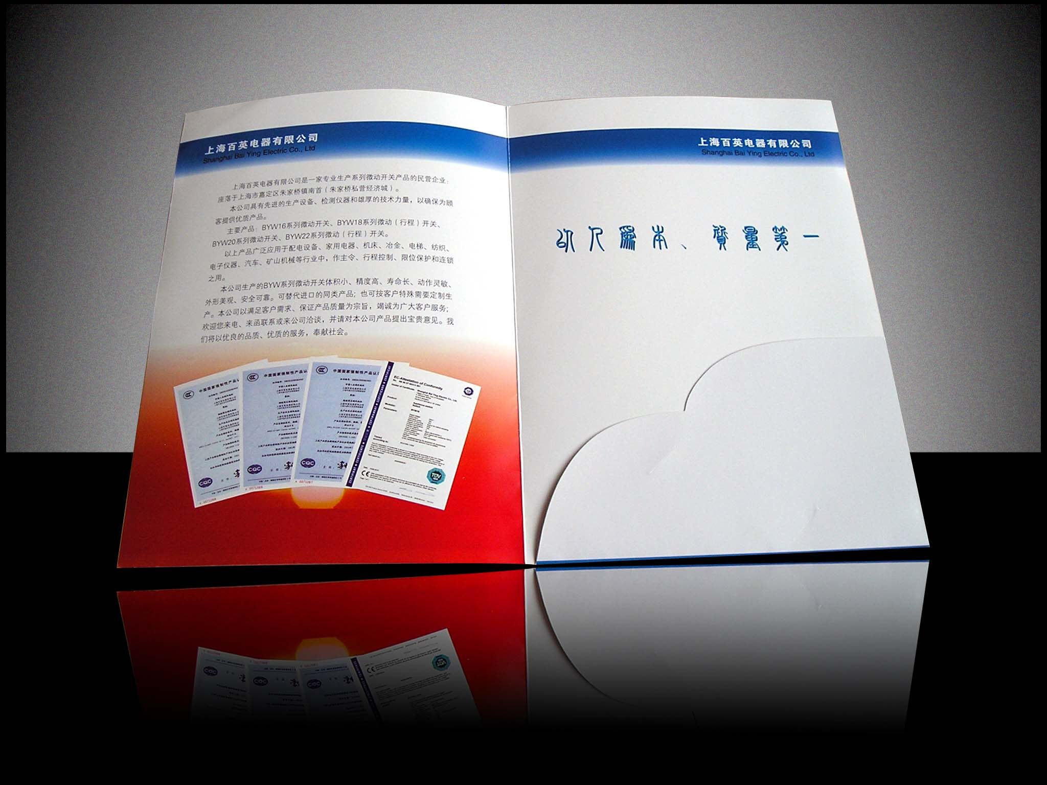 Custom Folded Promotional Brochures | Bespoke Leaflets for Business & Events view 4