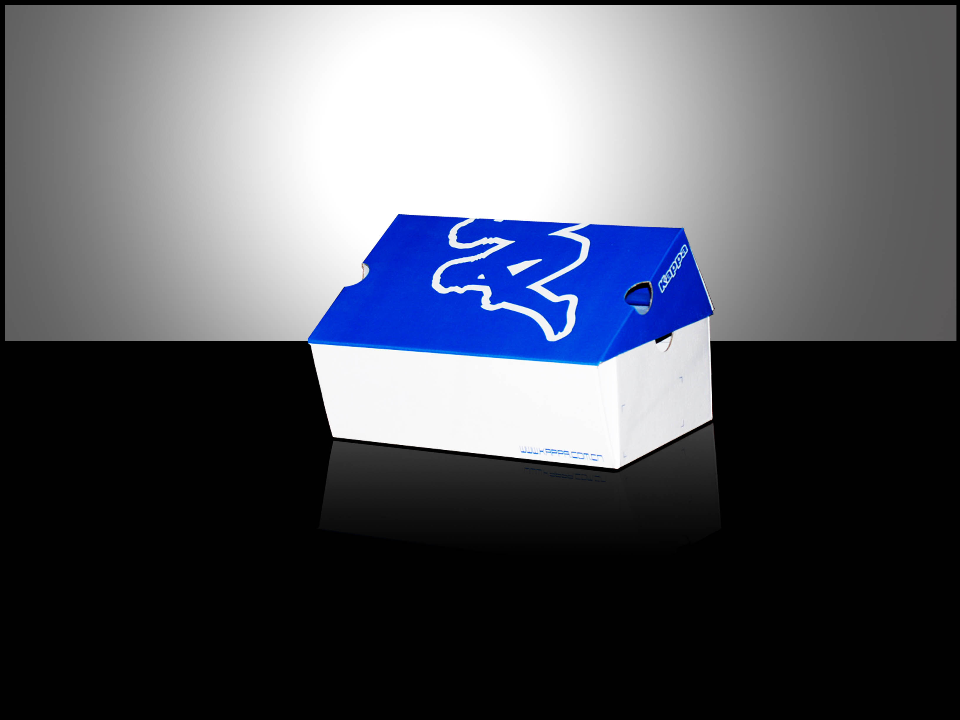 Custom Gift & Product Packaging Boxes | Bespoke Folding & Rigid Cartons view 4