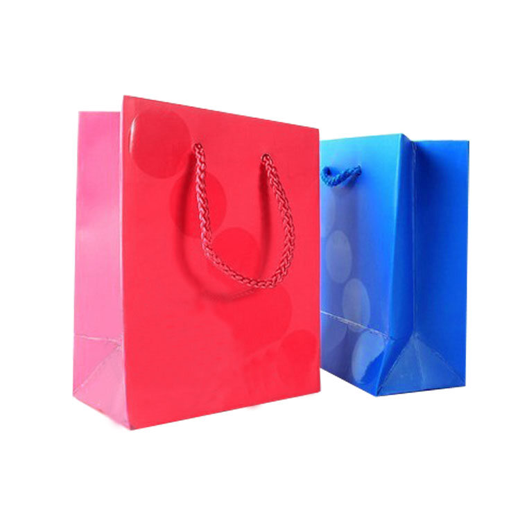 Custom Printed Paper Bags | Bespoke Branded Shopping Bags for Retail & Events view 4