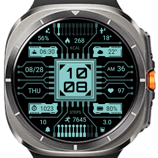 Technology Chip