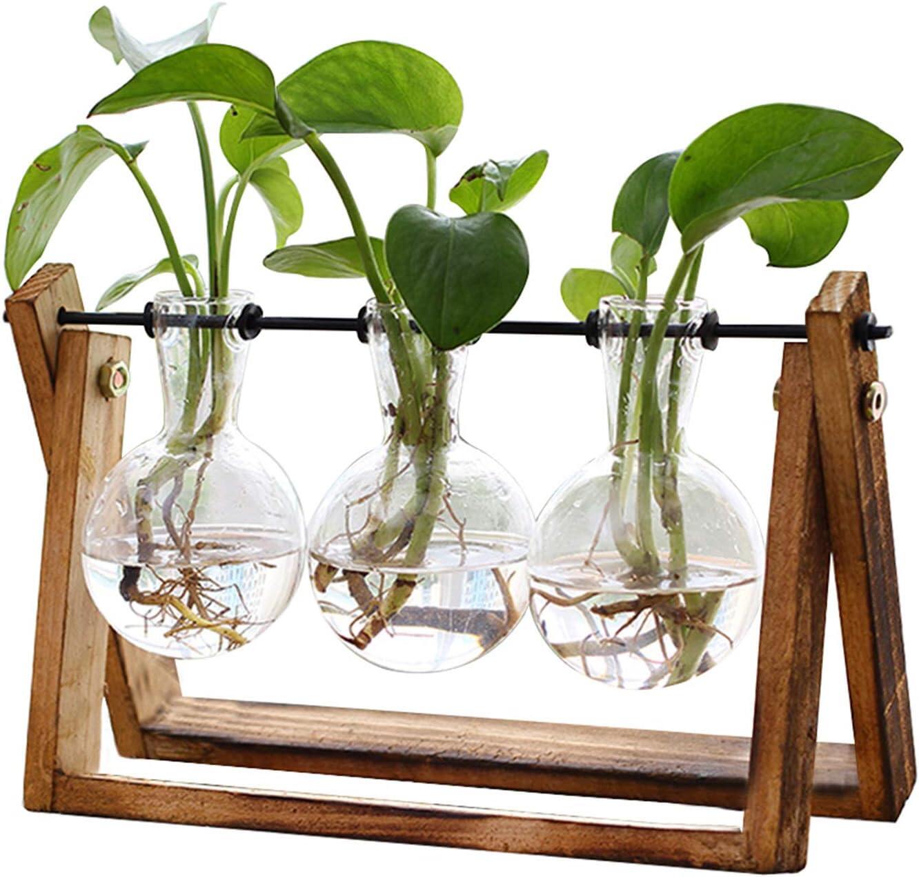Wooden Plant Propagation Station