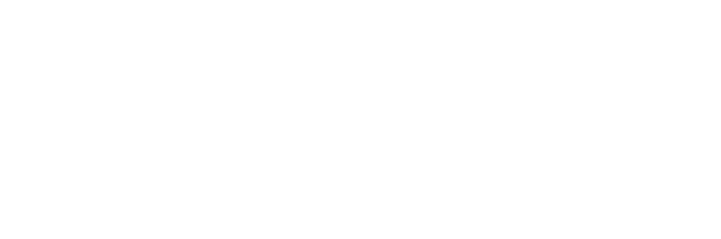 Jingdong Star Logo