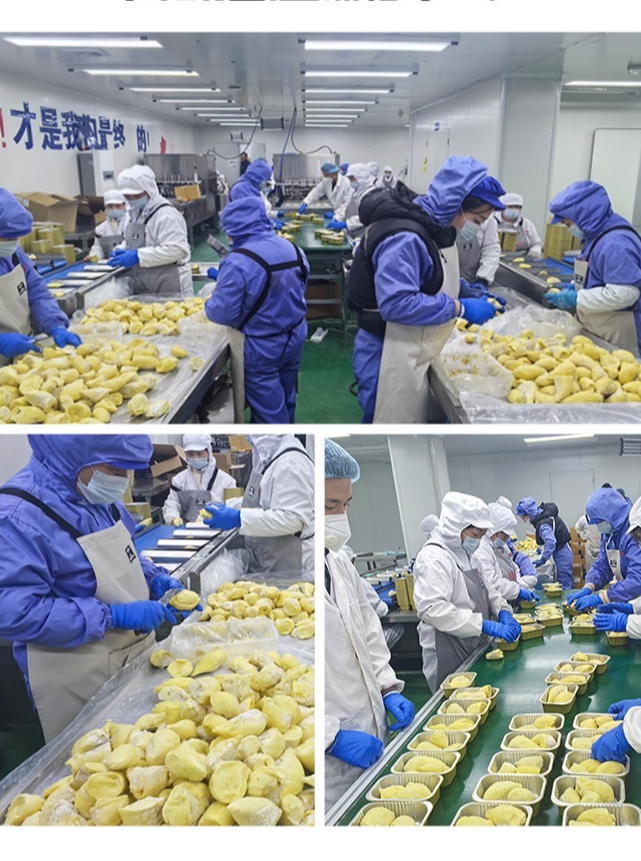 榴莲冻品