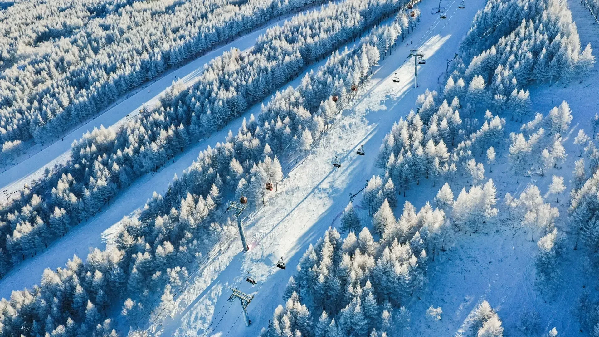 Wanlong Ski Resort ski resort in Chongli