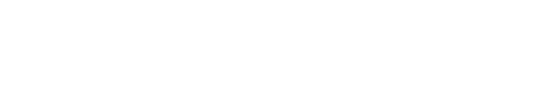 SURPLUSONE Logo