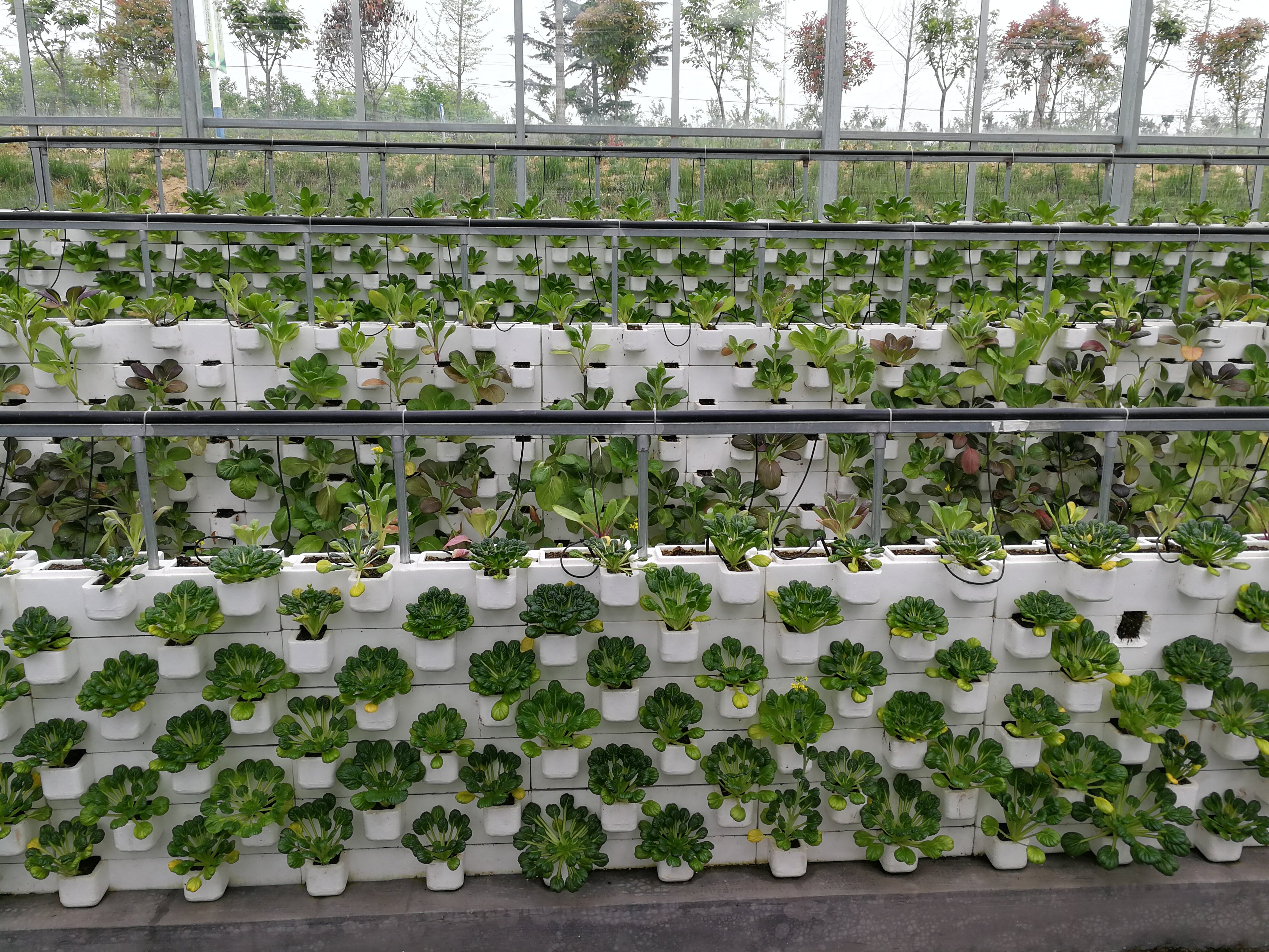节水灌溉