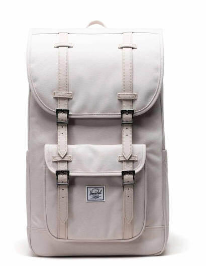 Classic Flap Backpack