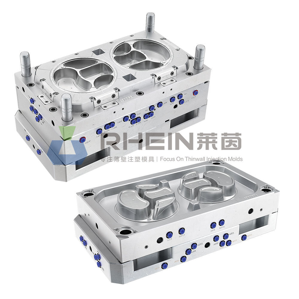 1-row 2-cavity 4-grid lunch box mold
