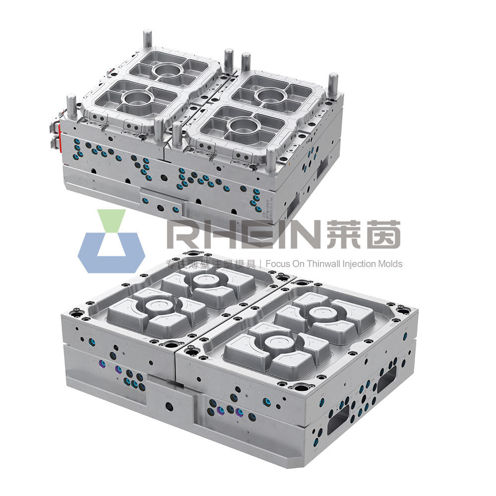 1 multi-compartment food container mold