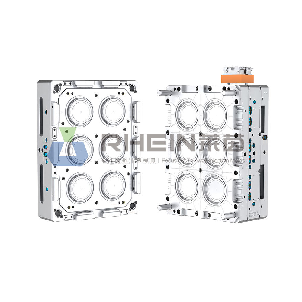 1 out 6 cap mold