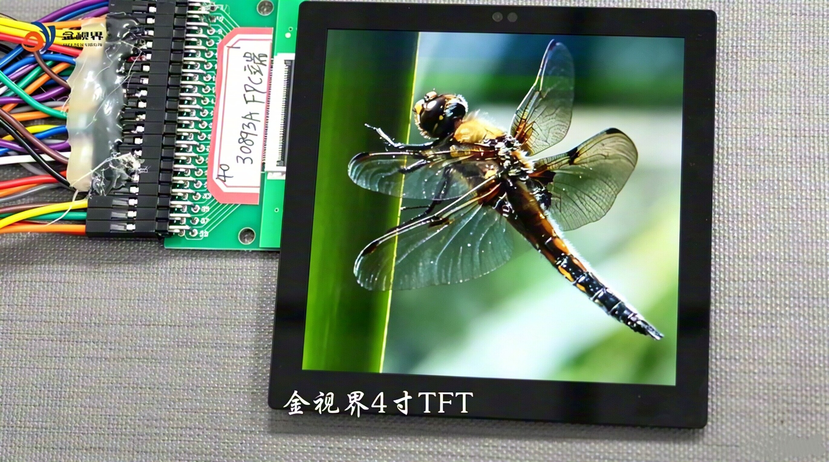 New Launch: Jinshijie 3.95-inch Square TFT Display – Small Size, Big Vision