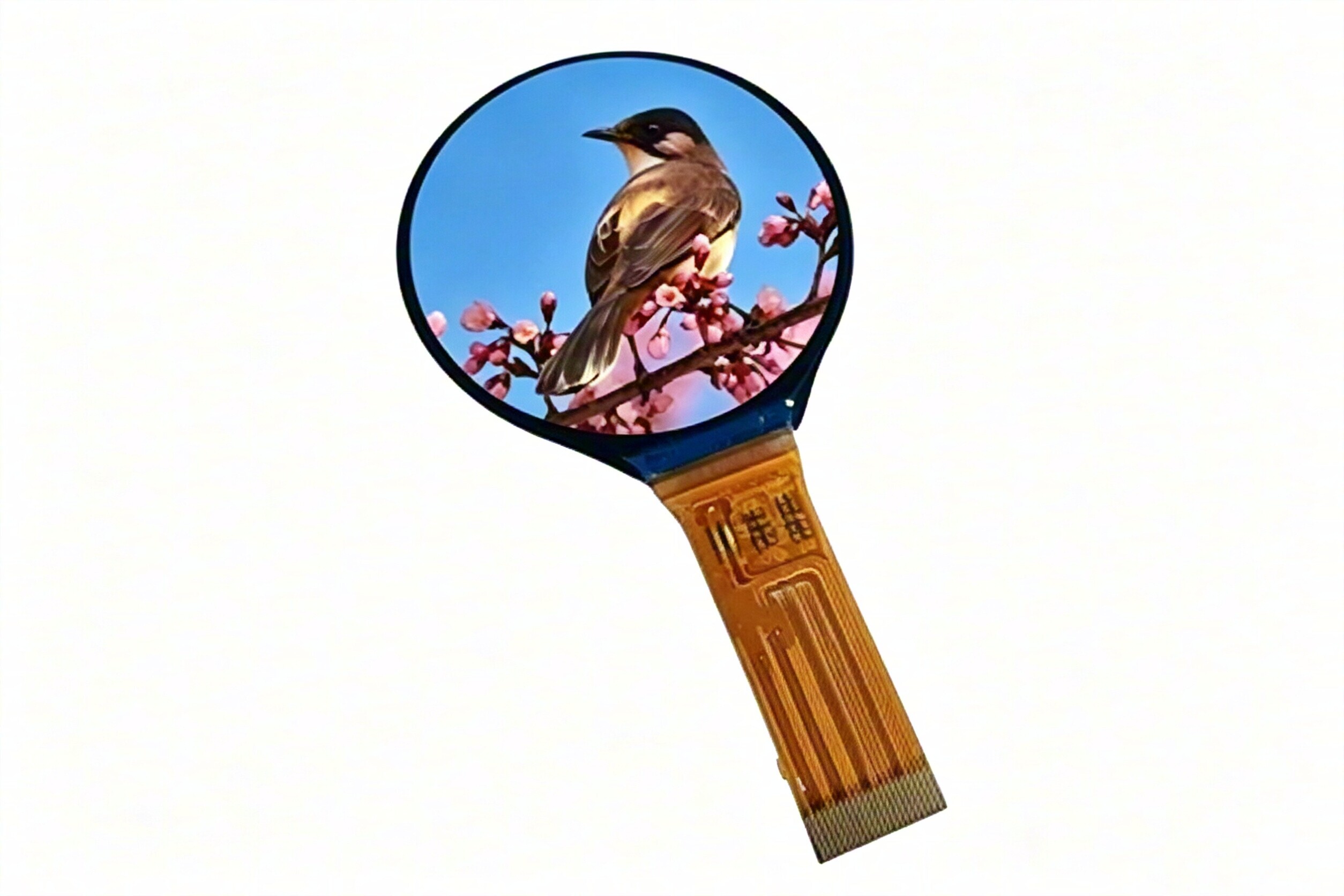 3.6-inch TFT-LCD Circular Display