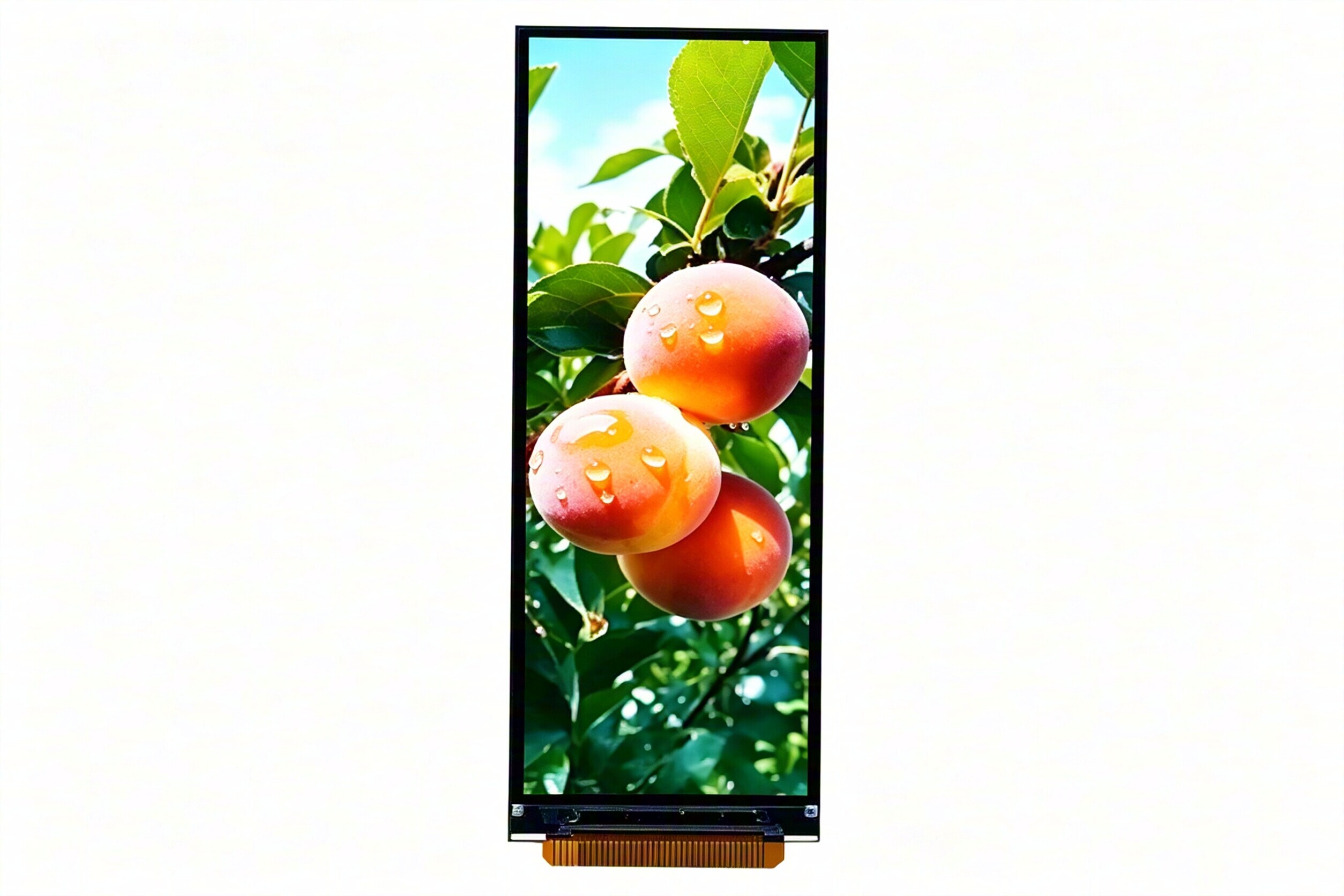3.0-inch Medical Terminal TFT LCD Display