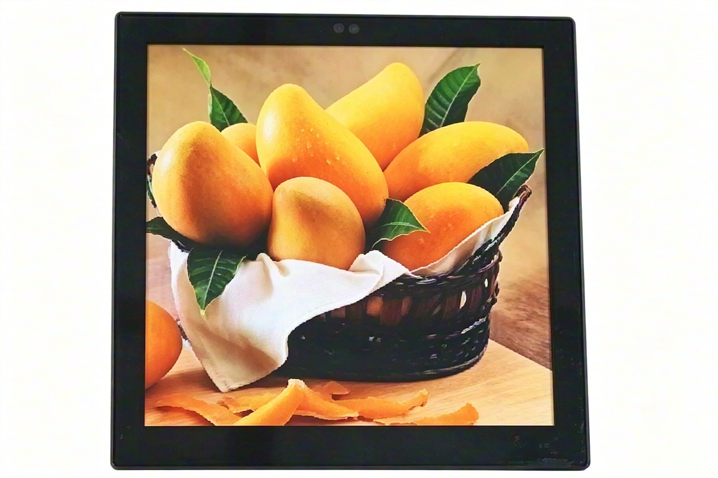 3.95-inch 480×480 resolution OLED display