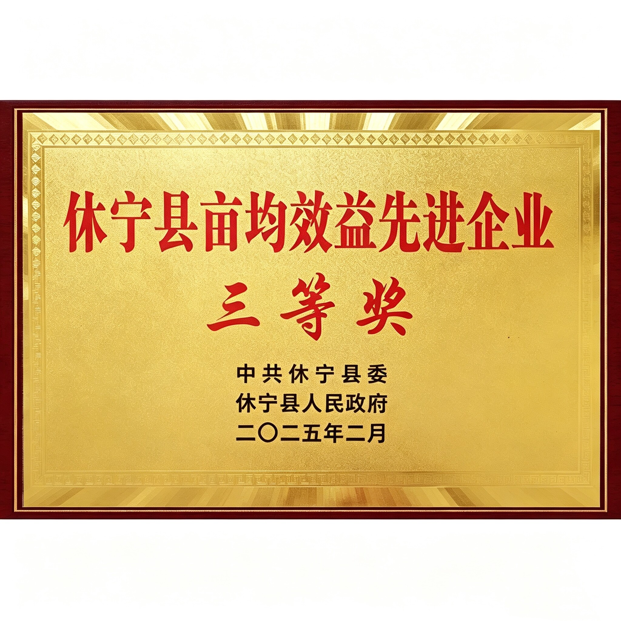 Certificate of Honor 4