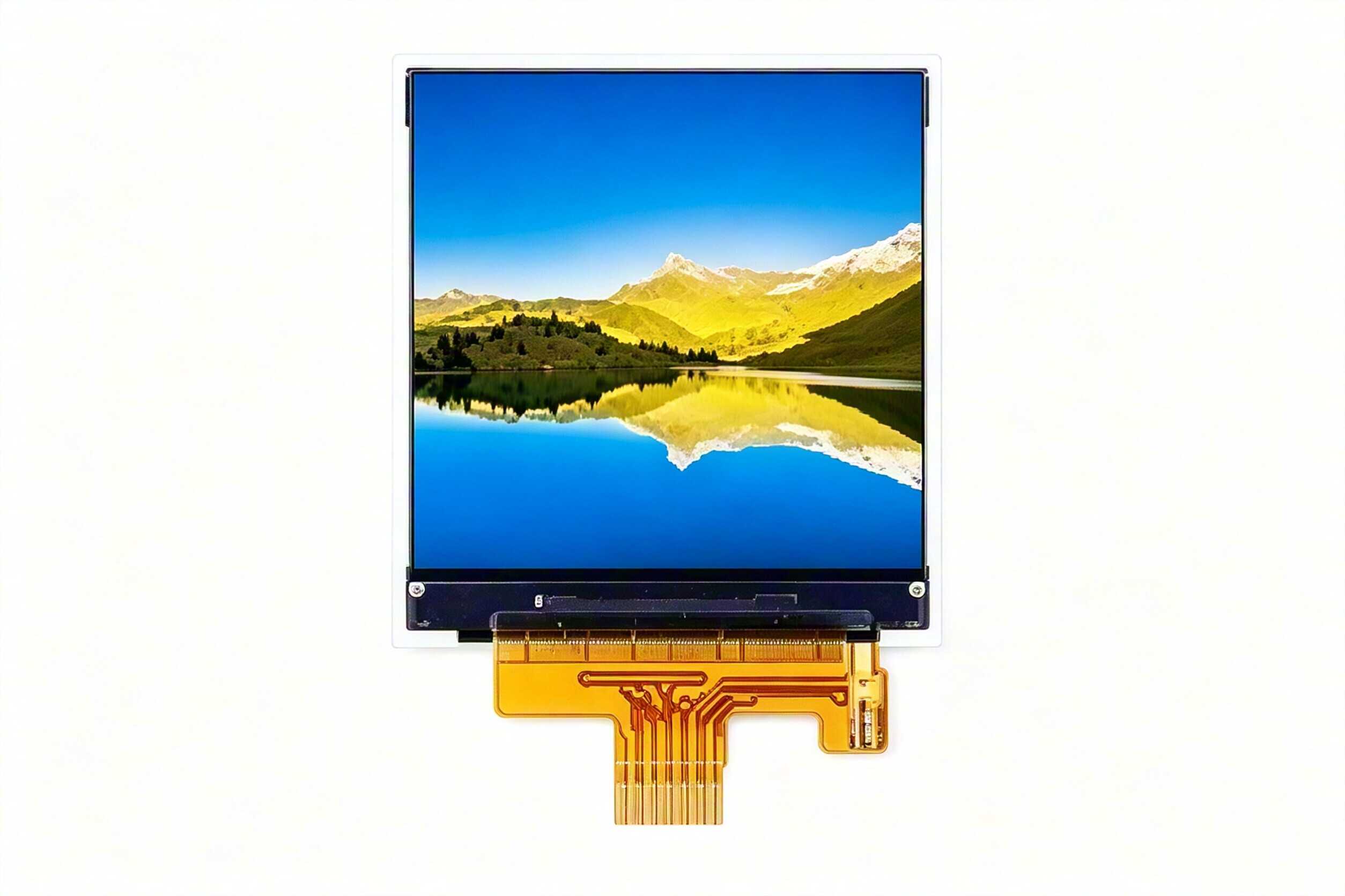 1.54-inch OLED display