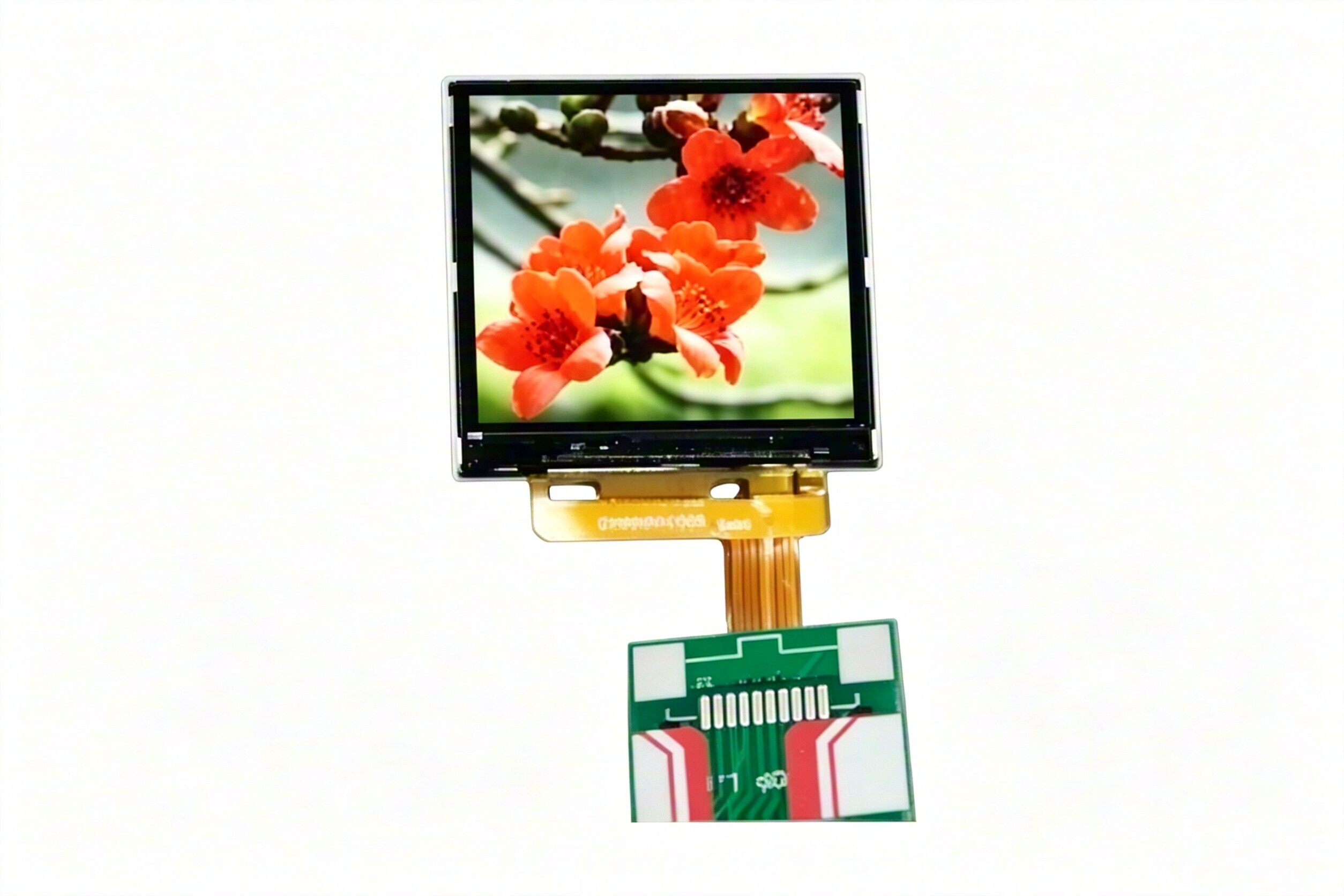 1.5-inch-240x240 Resolution-Full View TFT