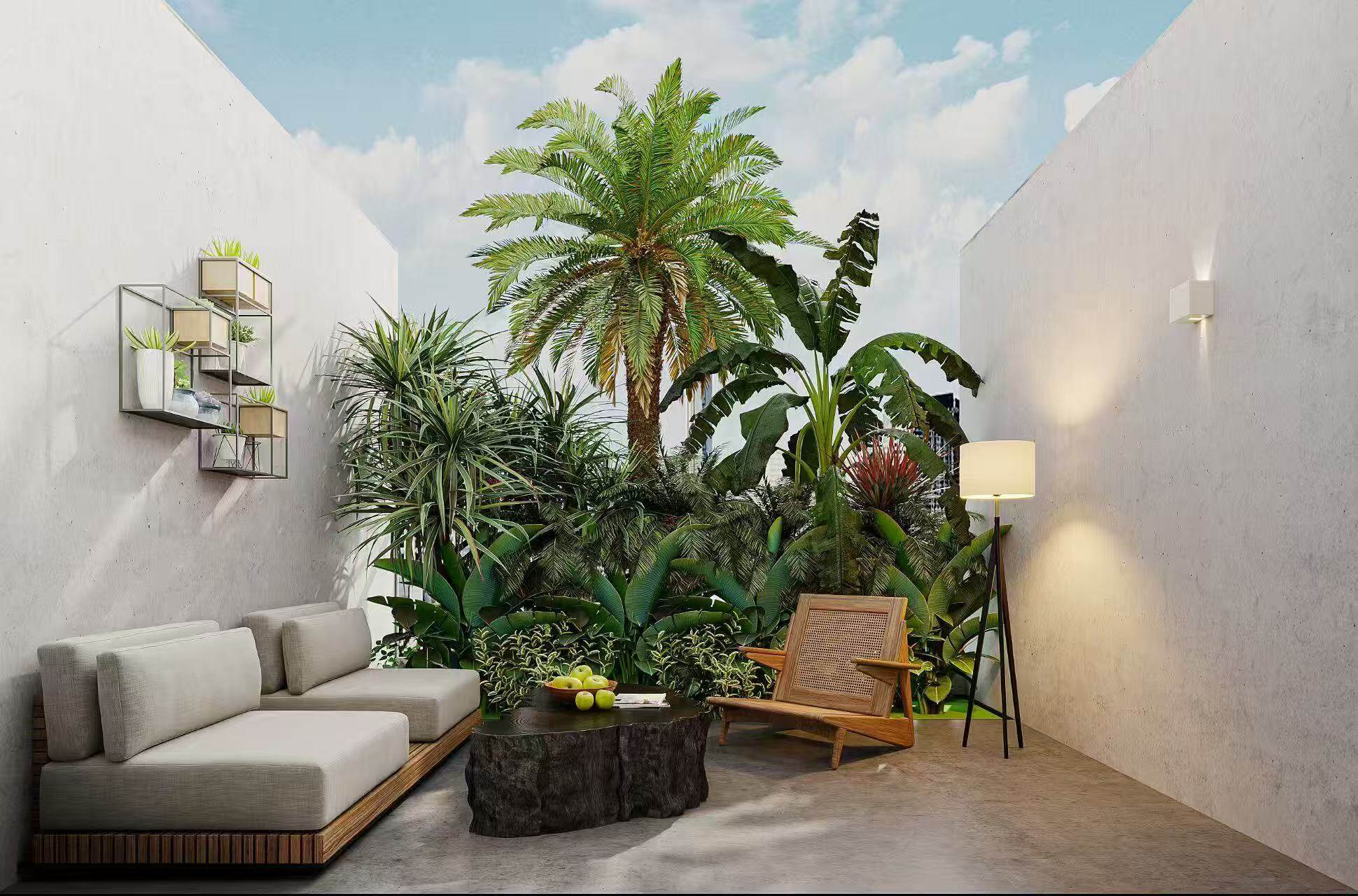 Private tropical garden courtyard