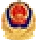 Public Security Filing Icon