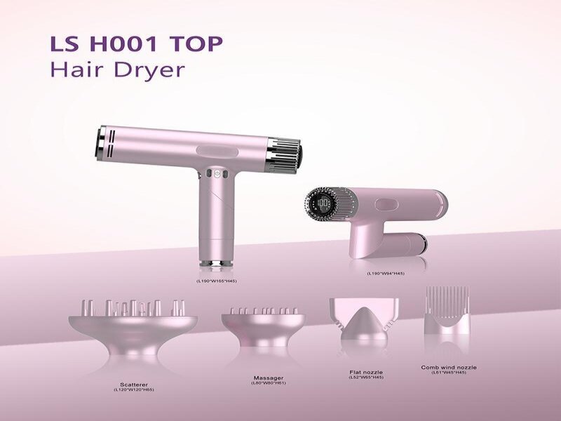 HL-LS H001 TOP Hair Dryer