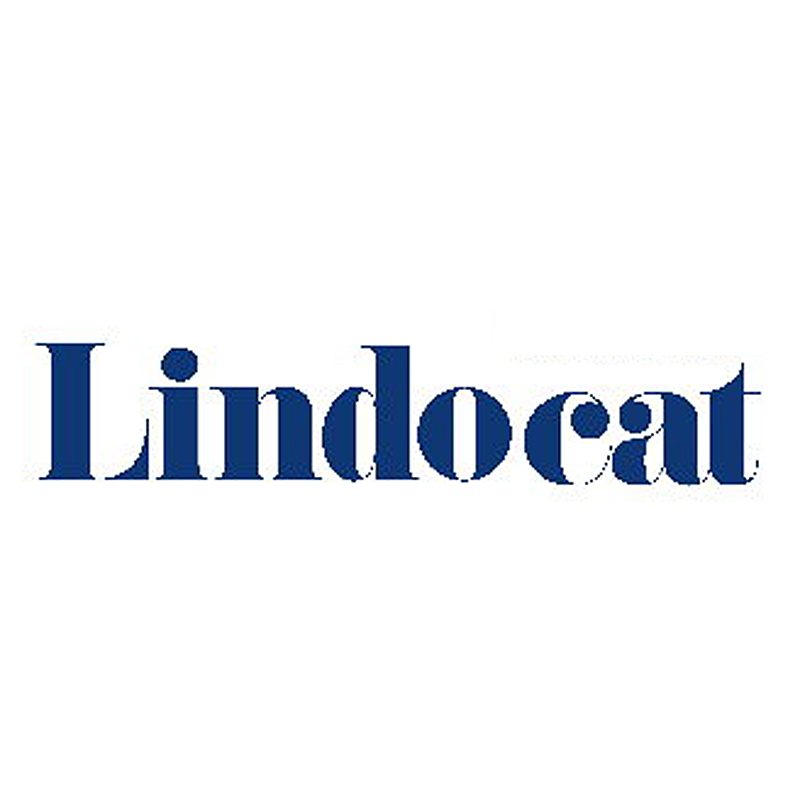 LindoCat