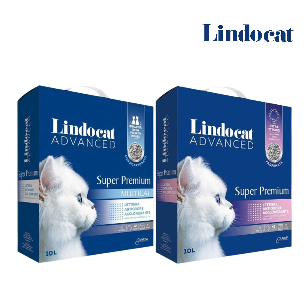 LindoCat