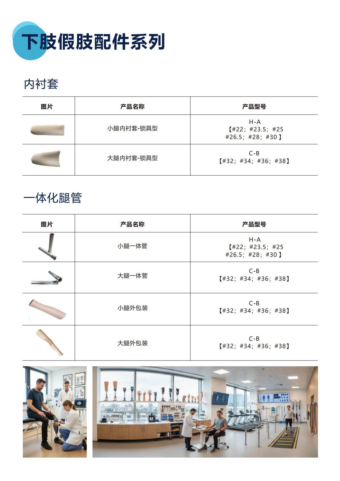 下肢假肢配件系列