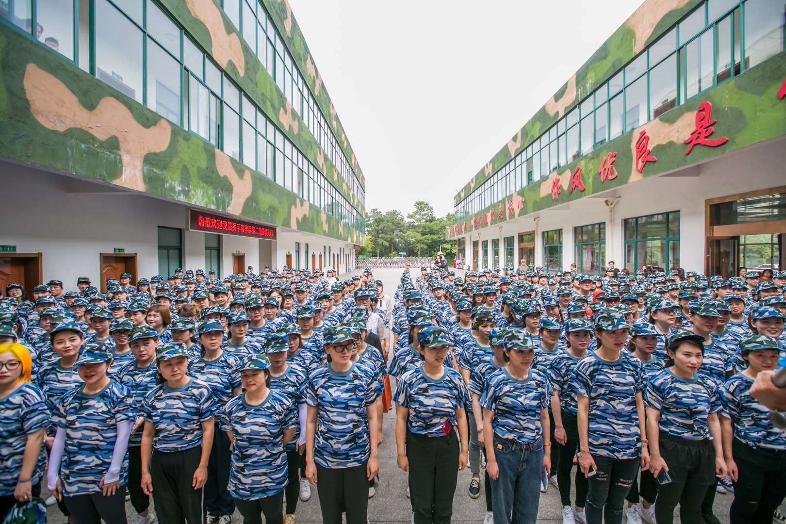 企业团建如何真正提升团队凝聚力?