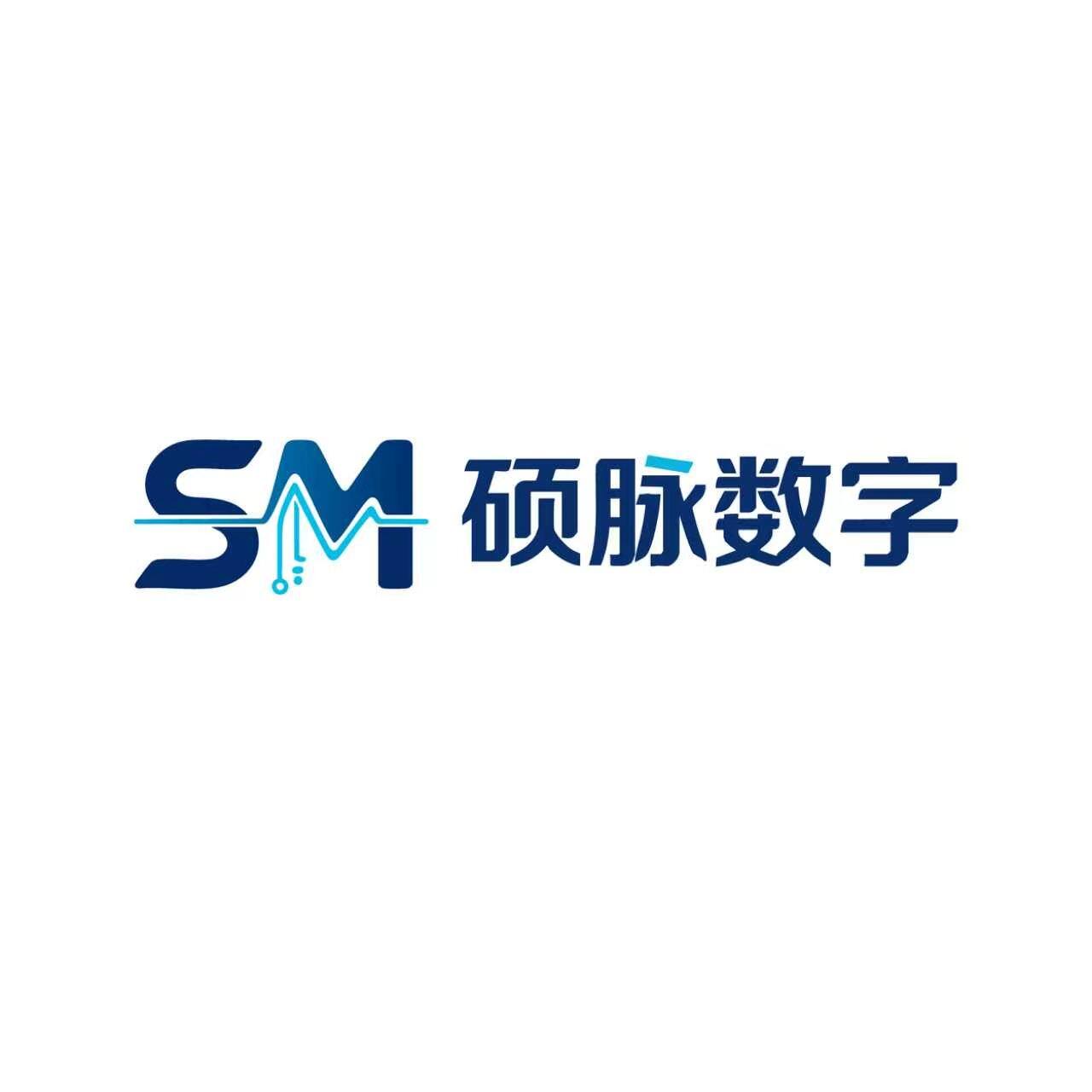 硕脉数字 Logo