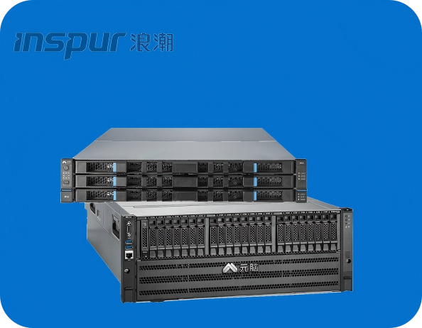 Inspur Server