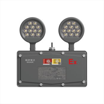 Explosion-proof wide-beam dual-head lamp